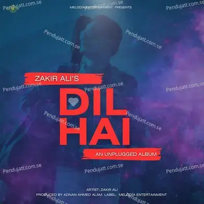 Uska Ghar - Zakir Ali album cover 