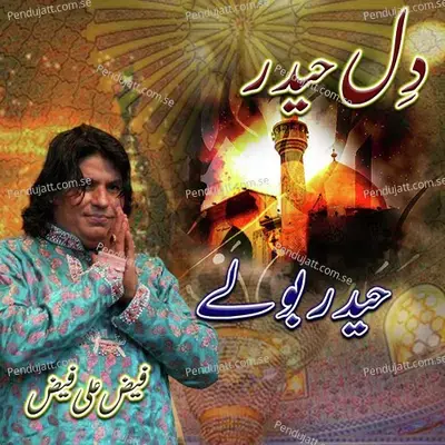 Dil Haider Halder Bole - Faiz Ali Faiz album cover 