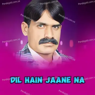 Dil Hain Jaane Na - Rashid Ali album cover 