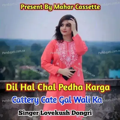Dil Hal Chal Pedha Karga Cattery Cate Gal Wali Ka - Lovekush Dungri
