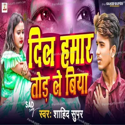 Dil Hamar Todle Biya - Sahid Super album cover 