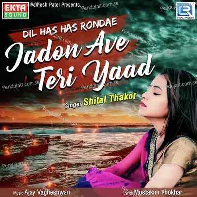 Dil Has Has Rondae Jadon Ave Teri Yaad - Shital Thakor album cover 