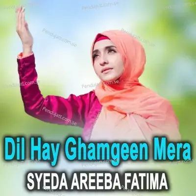 Dil Hay Ghamgeen Mera - Syeda Areeba Fatima album cover 