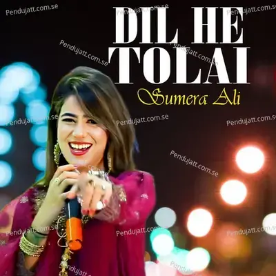 Dil He Tolai - Sumera Ali album cover 