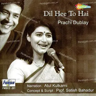 Kaise Kate Dinratiya - Prachi Dublay album cover 