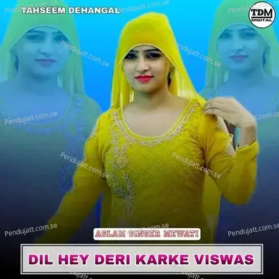 Dil Hey Deri Karke Viswas - Aslam Singer Mewati album cover 