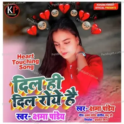 Dil Hi Dil Roye Hai - Chhama Pandey album cover 
