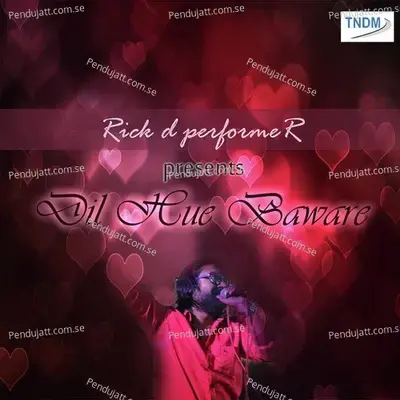 Dil Hue Baware - Rick D Performer album cover 