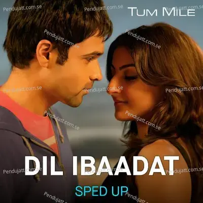 Dil Ibaadat - Pritam album cover 