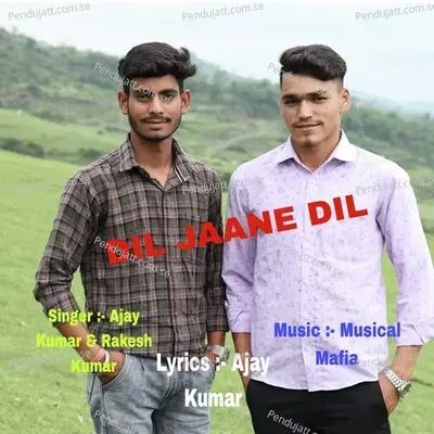 Dil Jaane Dil - Ajay Kumar album cover 