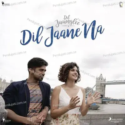 Dil Jaane Na - Abhishek Arora album cover 