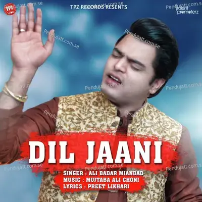 Dil Jaani - Ali Badar Miandad album cover 