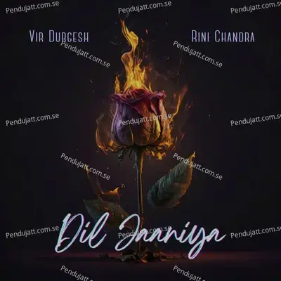 Dil Jaaniya - VirDurgesh album cover 