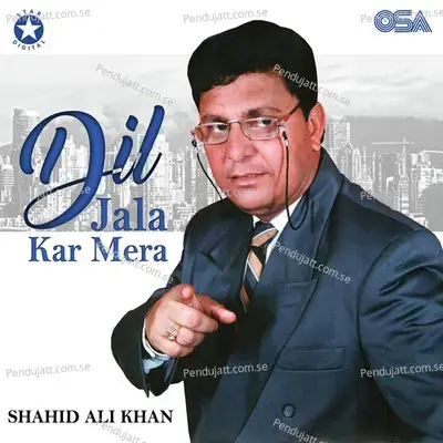 Dil Jala Kar Mera - Shahid Ali Khan cover album