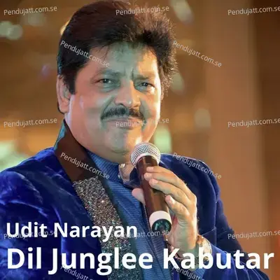 Dil Junglee Kabutar - Udit Narayan album cover 