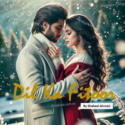 Dil Ka Fitoor - Shakeel Ahmed album cover 