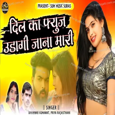 Dil Ka Fuse Udagi Jaana Mari - Bhanwar Kumawat album cover 