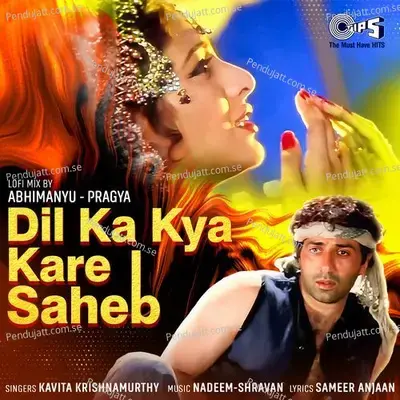 Dil Ka Kya Kare Saheb (Lofi Mix) - Kavita Krishnamurthy