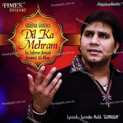 Hile Na Hont - Salman Amjad Amanat Ali Khan album cover 