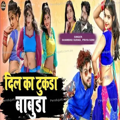 Dil Ka Tukda Babuda - Shambhu Suras album cover 