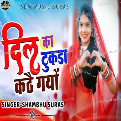 Dil Ka Tukda Kathe Gayo - Shambhu Suras album cover 