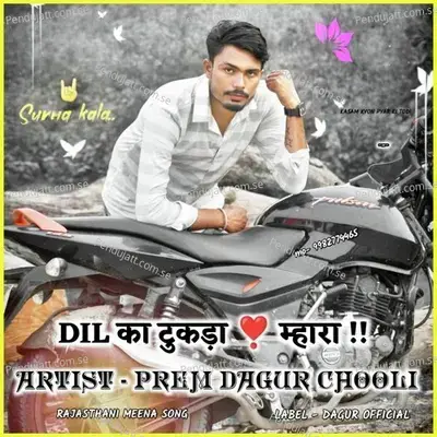 Dil Ka Tukda Mera - PREM DAGUR CHOOLI album cover 