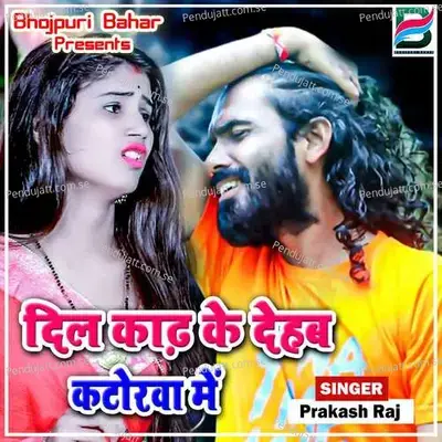 Dil Kadh Ke Dehab Katorawa Me - Vaibhav Nishant