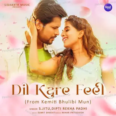 Dil Kare Feel - S.Jitu album cover 