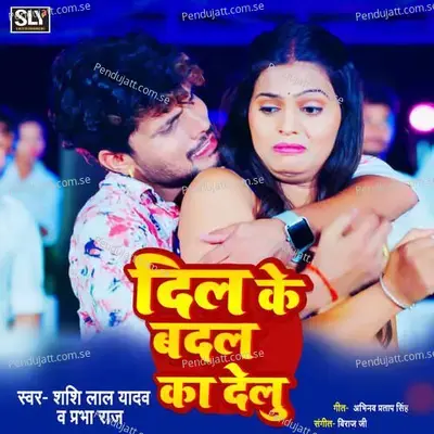 Dil Ke Badal Ka Delu - Shashi Lal Yadav album cover 