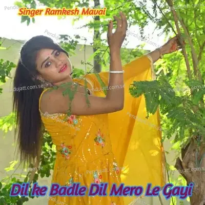 Dil Ke Badle Dil Mero Le Gayi - Ramkesh Mavai album cover 
