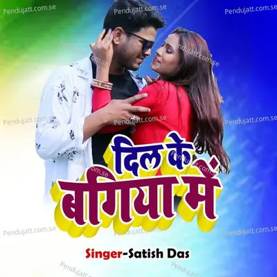 Dil Ke Bagiya Me - Satish Das album cover 