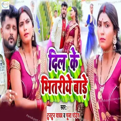Dil Ke Bhitariye Bade - Tuntun Yadav album cover 