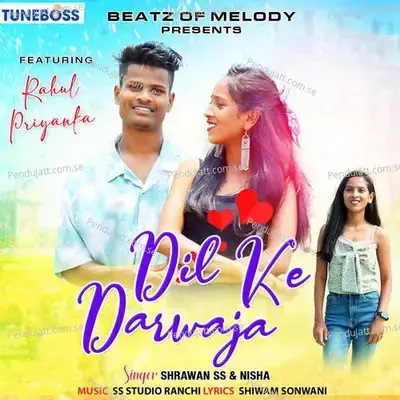 Dil Ke Darwaja - Shrawan SS album cover 