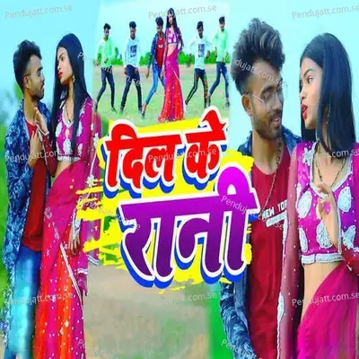 Dil Ke Rani - Sweta Sargam album cover 