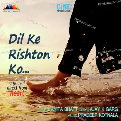 Dil Ke Rishton Ko - Anita Bhatt album cover 