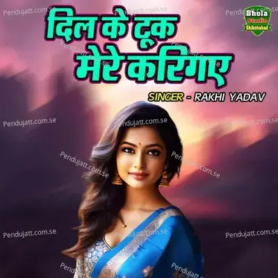 Dil Ke Took Mere Kari Gaye - Rakhi Yadav album cover 