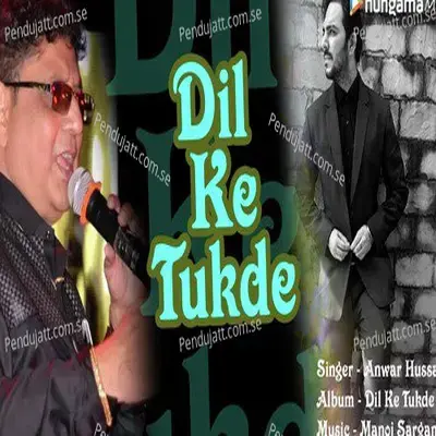 Jab Bhi Dekhega Tu Hatho Me - Anwar Hussain album cover 