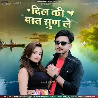 Dil Ki Baat Sun Le - Salim Shekhawas album cover 