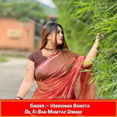 Dil Ki Ban Mumtaz Diwani - Veersingh Banota album cover 