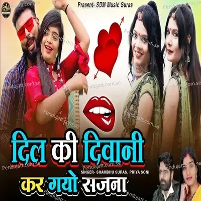 Dil Ki Diwani Kar Gayo Sajna - Shambhu Suras album cover 