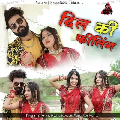 Dil Ki Feeling - Shambhu Meena album cover 