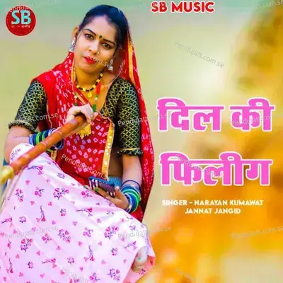 Dil Ki Felling - Narayan Kumawat album cover 