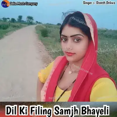 Dil Ki Filing Samjh Bhayeli - Dinesh Dekwa album cover 