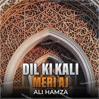 Dil Ki Kali Meri Aj - Ali Hamza album cover 