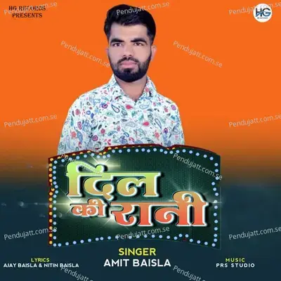 Dil Ki Rani - Amit Baisla album cover 
