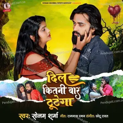 Dil Kitni Bar Tutega - Sonam Sharma album cover 