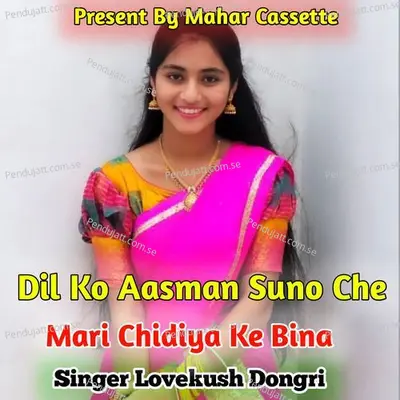 Dil Ko Aasman Suno Che Mari Chidiya Ke Bina - Lovekush Dungri album cover 