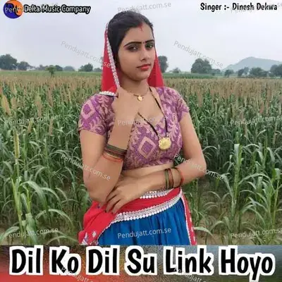 Dil Ko Dil Su Link Hoyo - Dinesh Dekwa album cover 