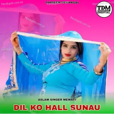 Dil Ko Hall Sunau - Aslam Singer Mewati album cover 