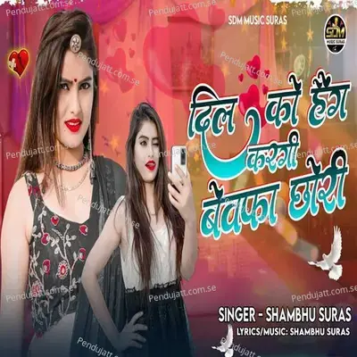 Dil Ko Heng Kargi Bewafa Chori - Shambhu Suras album cover 